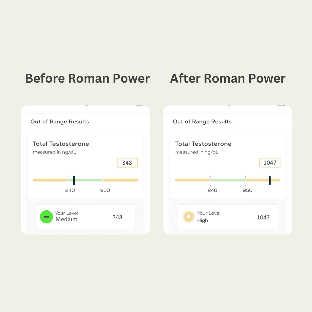 Roman Power E-Book My Store 